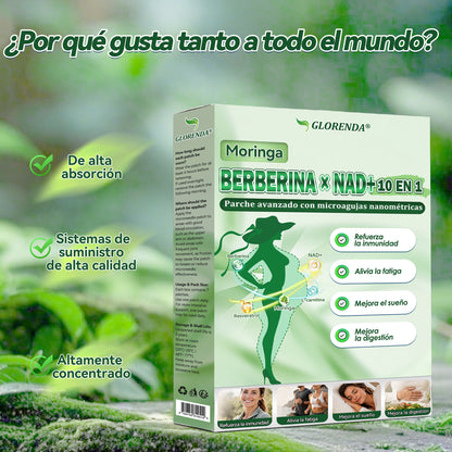 𝑮𝑳𝑶𝑹𝑬𝐍𝐃𝗔®𝗠𝗼𝗿𝙞𝙣𝙜𝙖 · 𝘽𝙚𝙧𝙗𝙚𝙧𝙞𝙣𝒂 × 𝑵𝑨𝐃+ 𝐏𝐚𝐫𝐜𝙝𝙚 𝘼𝙫𝙖𝙣𝙯𝙖𝙙𝗼 𝗱𝗲 𝗠𝗶𝗰𝗿𝗼𝒏𝒂𝒍𝒈𝒂 𝑵𝒂𝐧𝐨 𝟏0-𝙚𝙣-1