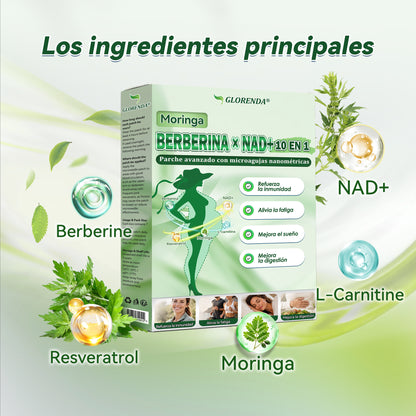 𝑮𝑳𝑶𝑹𝑬𝐍𝐃𝗔®𝗠𝗼𝗿𝙞𝙣𝙜𝙖 · 𝘽𝙚𝙧𝙗𝙚𝙧𝙞𝙣𝒂 × 𝑵𝑨𝐃+ 𝐏𝐚𝐫𝐜𝙝𝙚 𝘼𝙫𝙖𝙣𝙯𝙖𝙙𝗼 𝗱𝗲 𝗠𝗶𝗰𝗿𝗼𝒏𝒂𝒍𝒈𝒂 𝑵𝒂𝐧𝐨 𝟏0-𝙚𝙣-1